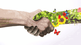 Les ressources naturelles :  frein ou tremplin au développement ?