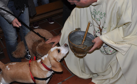 Les animaux ont-ils leur place dans l'Église ?